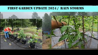Mother Nature and Her PMS / 1st Garden Update Part 1 of 2 / Hydroponic Buckets vs Soil