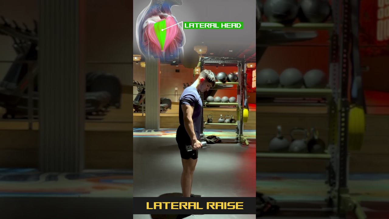 #shorts #gym #workout #lateralraise