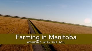 Farming in Manitoba