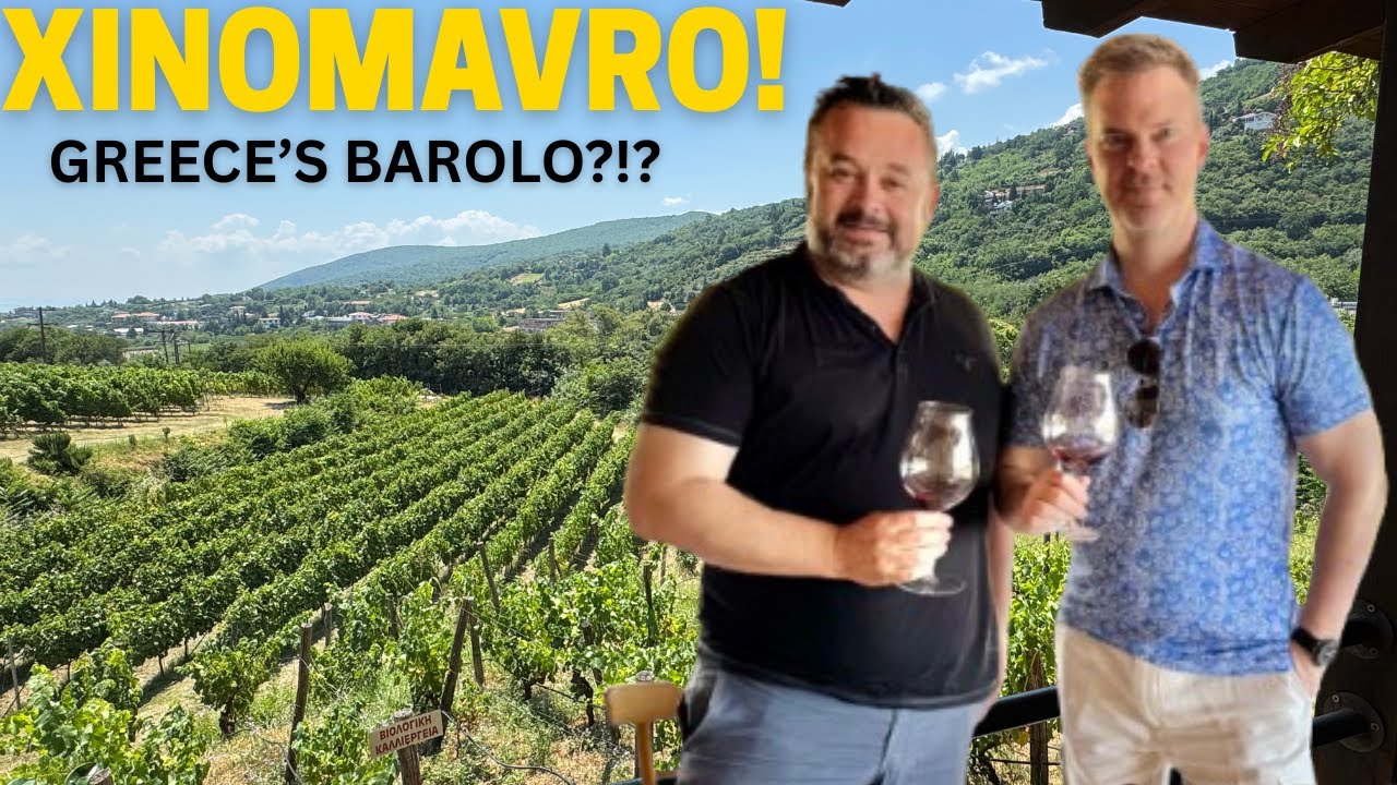 UNDERRATED Collectible Wines! Discovering Xinomavro from Naoussa 🇬🇷