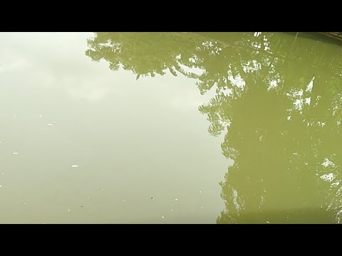 mancing-ikan-jaer-nila