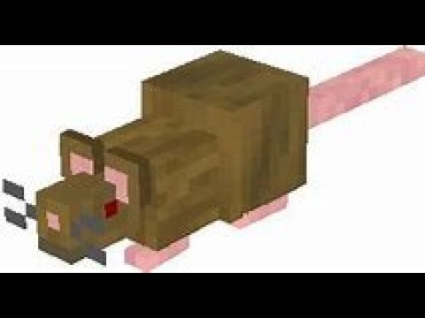 компьютер в майнкрафте. как сделать мышку в майнкрафте. крыса из мода rats. как сделать мышку в майнкрафте.