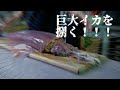 巨大イカを捌く!!沖縄産セーイカを元セーイカ漁師が捌く（ソデイカ）Giant squid