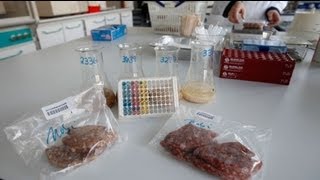 Still More Horse Meat Found In European Beef Products