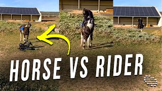 Horse Decides to Perform Some Leaps and Bounds to Get Rid of Its Rider