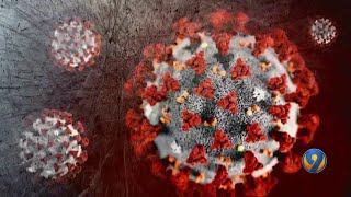 Coronavirus updates from Mecklenburg County