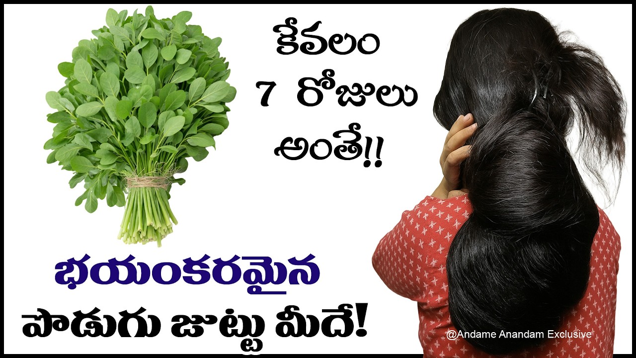 🌿 మెంతి ఆకులతో ఇది కలపండి చాలు🌿✨ ఇక సన్నని మీ జుట్టు ✨💚 ఒత్తుగా నల్లగా పొడవుగా🚀 పెరుగుతూనే ఉంటుంది 💯