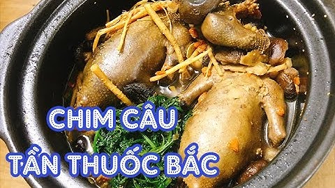 Cách Làm Chim Câu Tần Thuốc Bắc | Ăn gì hôm nay