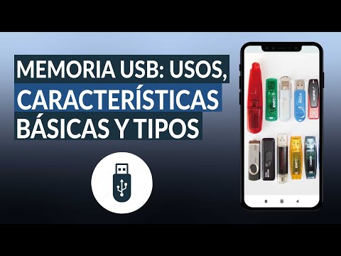 MEMORIA USB: Usos, tipos y características básicas de esta útil herramienta