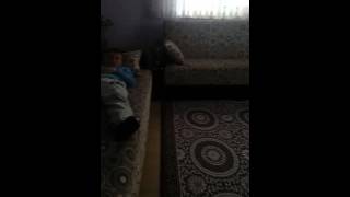 Samet Korutürk & Said Korutürk Korkutma
