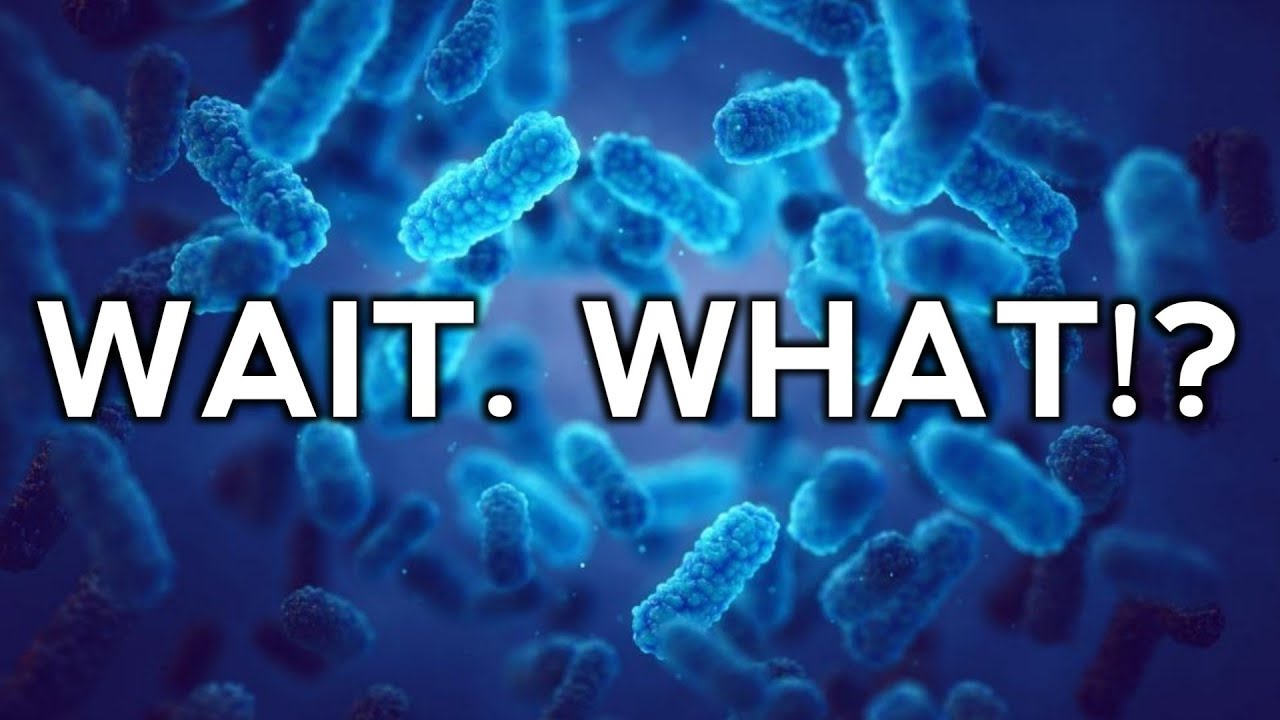 Scientists Found The Origin Of Life?! - YouTube
