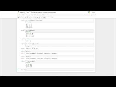 Mathematical problems using Numpy | Python Numpy 10.0