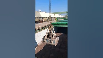 UNLOADING OF LEAD CONCENTRATE CARGO#youtubeshorts #youtube