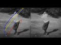 Bobby Jones, Walter Hagen, Gene Sarazen - Golf Swing - Tracer - Legends