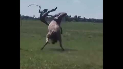 Guy does insane 360 on an uncontrolled horse