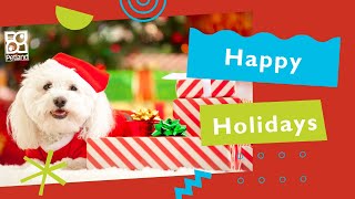 Holiday Happiness At Petland Knoxville