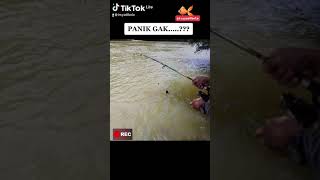 Mancing ikan sungai kampar Resimi