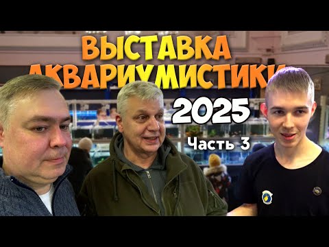 Выставка аквариумистики 2025. Часть 3. Аквариум юного аквариумиста, Андрей Белов и наши соклубники.