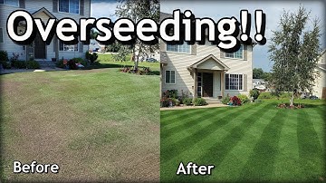 How To OVERSEED Your Lawn in SPRING // Complete Step by Step Guide