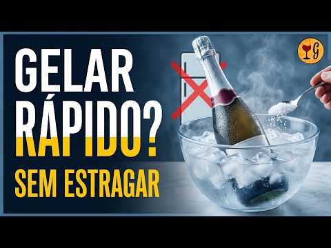 Como gelar vinho e espumante rápido sem estragar | Guia prático