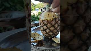 สับปะรดหวานฉ่ำจากในไร่ #ชาวไร่ชาวสวนchannel #food #cook #cooking #shorts #short #สับปะรด #pineapple