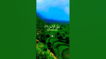 تلاوة خاشعة قرأن كريم راحة نفسية #قران_كريم #قرآن #elmulquranعلم #المصحف #اكسبلور #duet