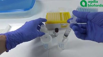 Plant Pathogen ELISA test: How to evaluate the results?
