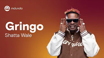 gringo by shatta wale (Official Lyric Video)