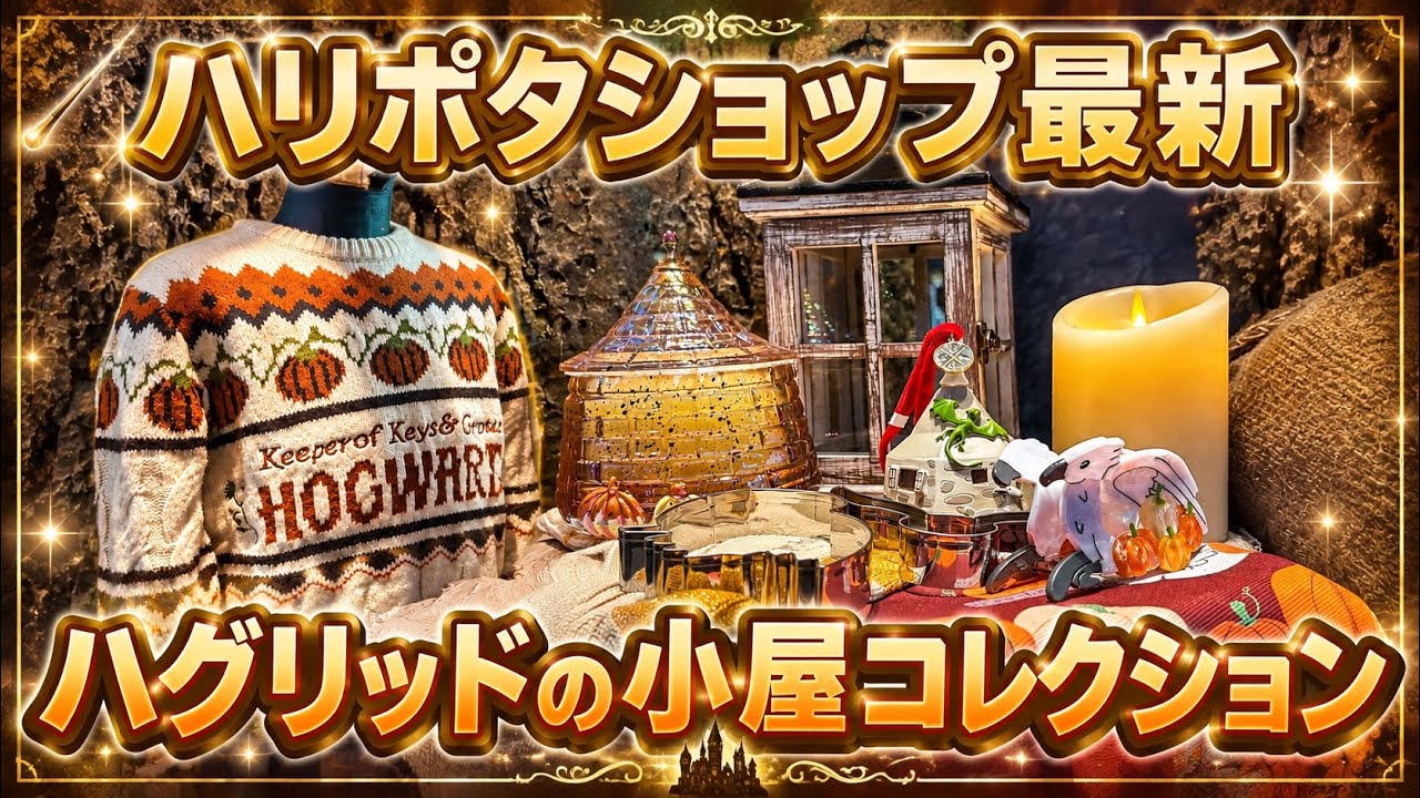 あっくん様 Harry Potter クリスマス マルチカバー ラグ あっくん様