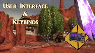 My User Interface & Keybinds | DDO #14