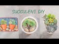 STAY HOME WITH 5 SUCCULENT IDEAS| 5 Ý TƯỞNG TRỒNG SEN ĐÁ Ở NHÀ TRÁNH DỊCH| 多肉植物| 다육이들 | Suculentas