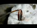 Making a Ring from Silver &amp; Copper wire | Jewellery Making | Gold Smith Jack