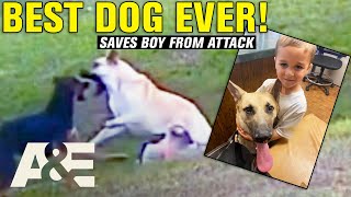 Top 7 Daring Rescues by Everyday Heroes (Part 2) | Neighborhood Wars | A&E