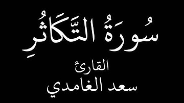 سورة التكاثر   سعد الغامدي