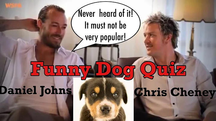 Funny Dog Quiz - Daniel Johns & Chris Cheney test ...
