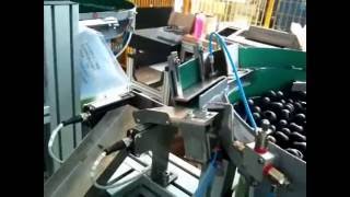 Minipack International Fully Automatic Bagging Machine