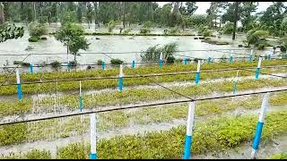 YASS destruction at Nandigram jelingham point