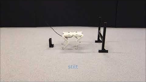 CASSI - Cooperative Adversarial Self-supervised Skill Imitation