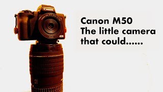 Canon M50 Review- The Camera I didn&#39;t know I loved