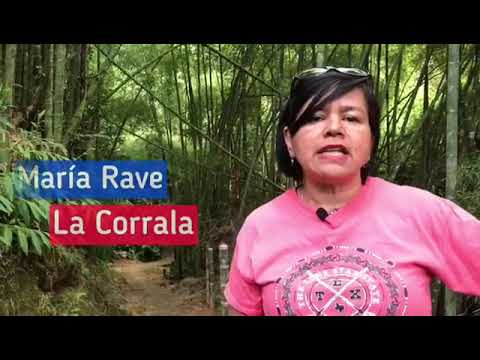 ¡CREAMOS! como Maria Rave - YouTube