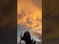 پشت این سکوت سنگین یه غمی بی انتهاعـه پشت این سکوت سنگین یه غمی بی انتهاعـه