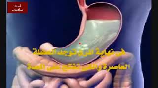 كيف يعمل الجهاز الهضمي