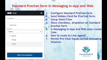 Standard Pre Chat in Salesforce Messaging for In App and Web Part 2 #servicecloud