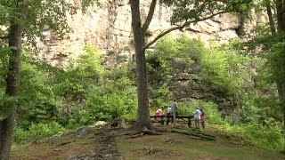 West Virginia Native Plant Society looks for rare plants in Mercer County