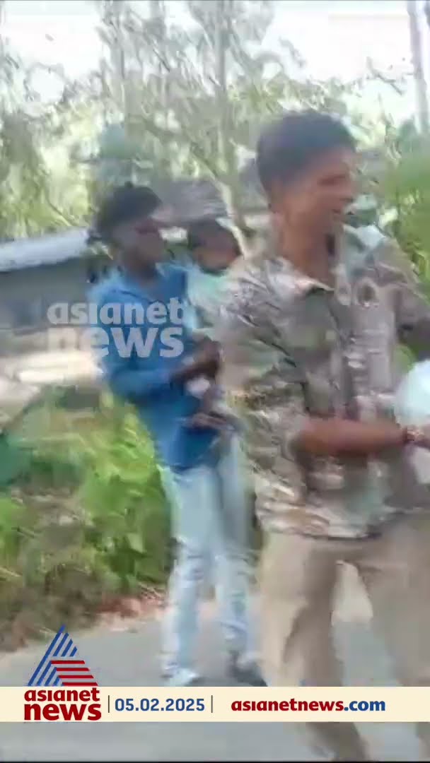 മുത്തങ്ങയിലെ ജനവാസ കേന്ദ്രത്തിൽ 3 മാസം പ്രായമുള്ള കരടിക്കുഞ്ഞ്; അധികൃതർ കുഞ്ഞിനെ ഓഫീസിലേക്ക് മാറ്റി