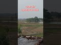 अपना गांव महराजगंज उत्तर प्रदेश #shorts #village #uttarpradesh #travel #maharajganj #vlog #nature