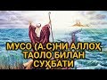 Muso a.sni Alloh taolo bilan suhbati || Мусо а.сни Аллоҳ таоло билан суҳбати