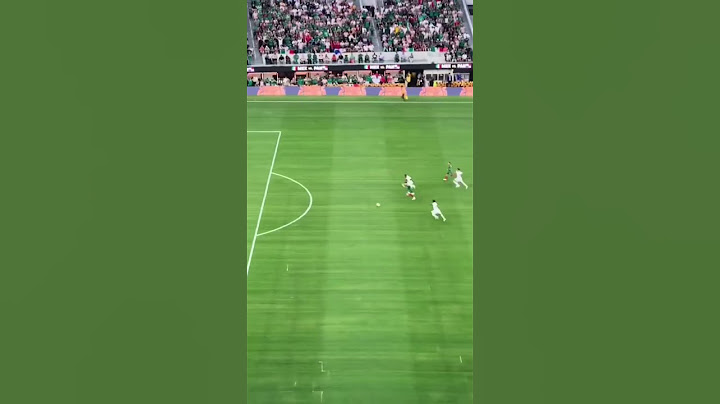El gol de Santi Giménez en la Final de la Copa Oro desde la grada
