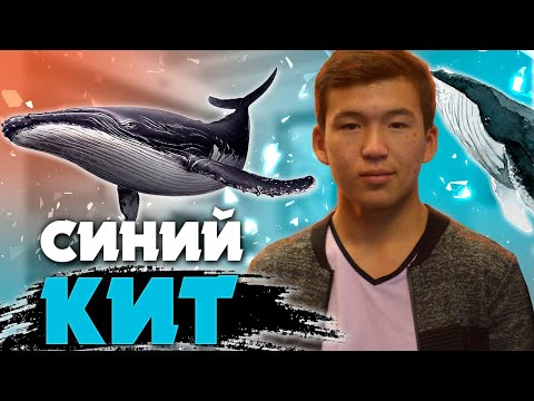 (казакша)Синий кит және Тихий дом жайлы шындық  Димаш Кудайбергенов жайлы менің ойым!