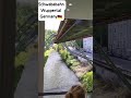 Schwebebahn Wuppertal hanging train Germany🇩🇪🇩🇪🇩🇪